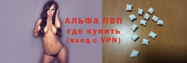 стаф Алексеевка
