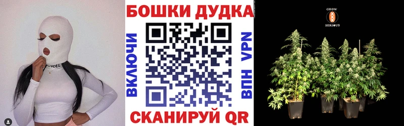 Бошки марихуана Amnesia Гуково
